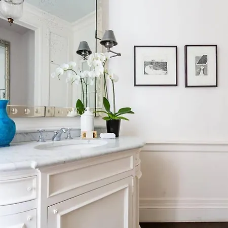 Apartment Central Paris, Spacious, Gourmet Kitchen, Historical, Ballroom, Sauna